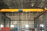 5Ton LDC type single girder overhead crane in India 2