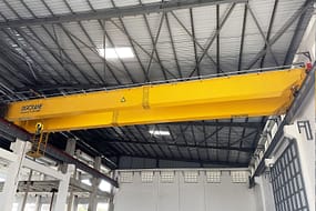  带有 DGCRANE 品牌的鲜黄色 NLH 型双梁桥式起重机，安装在光线充足的工业环境中，配有金属板屋顶和高大的窗户