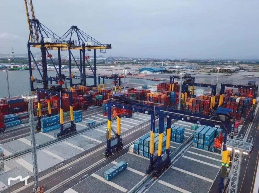 ساحة RTG الآلية - المحطة D في تايلاند