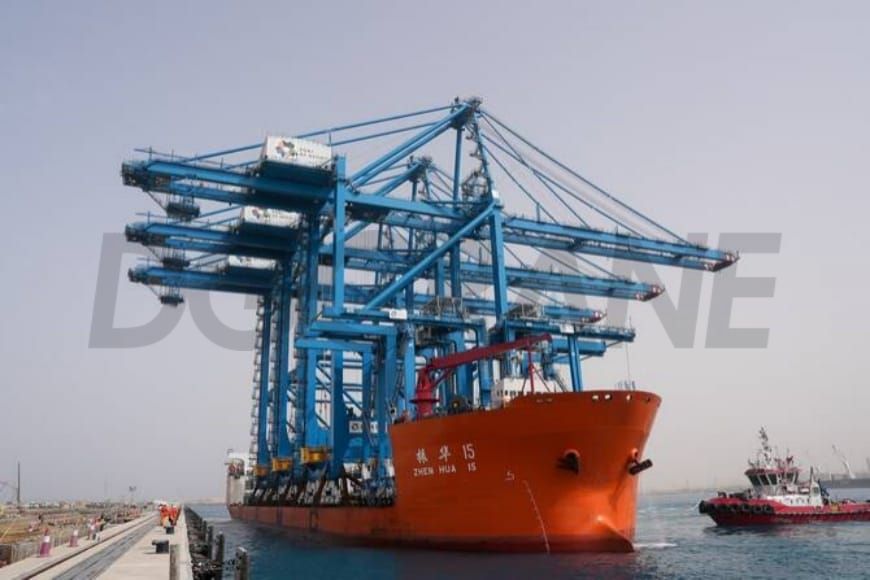 Crane Overhead dan Gantry untuk Pelabuhan dan Logistik di Arab Saudi