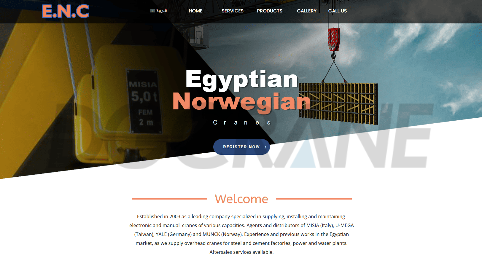 মিশরীয় নরওয়েজিয়ান সারস