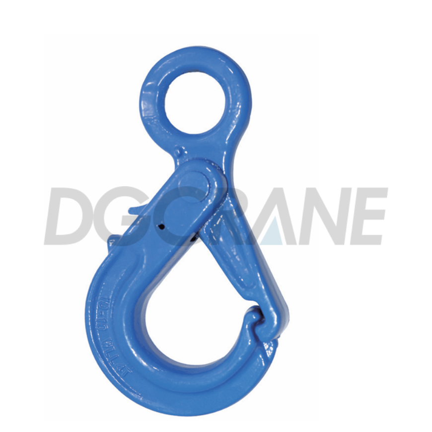 G100 Special Eye Selflock Hook