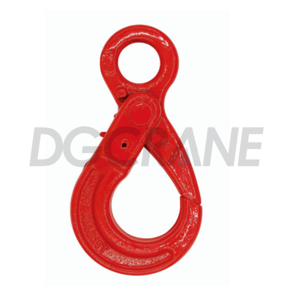 G80 Eye Selflock Hook 1