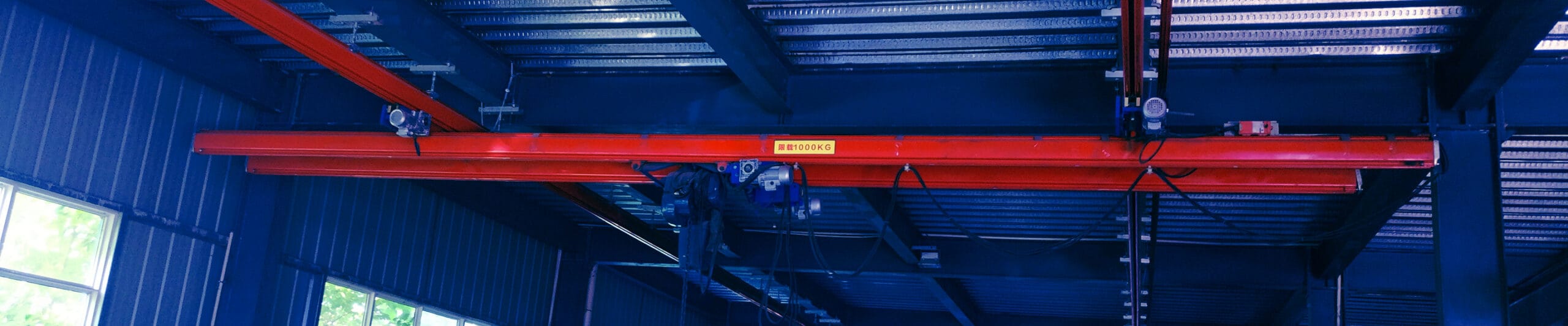 Workstation Overhead Crane