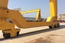 çift kirişli portal vinç 4 1